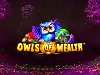 Il logo della slot Owls of Wealth