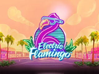 Il logo della slot Electric Flamingo