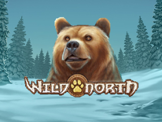Il logo della slot Wild North