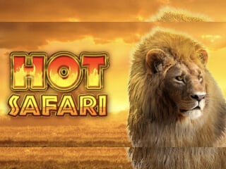 Hot Safari Schriftzug und ein Loewe in der Wueste
