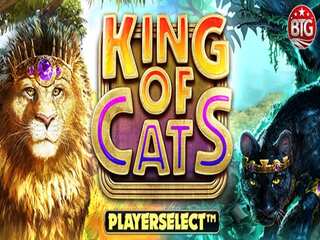 Grosser Loewe in King Of Cats