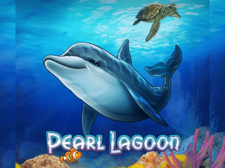 Delfin schwimmt im blauen Meer von Pearl Lagoon
