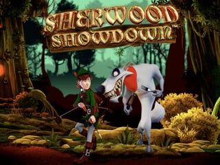 Rbon Hood in Sherwood Showdown