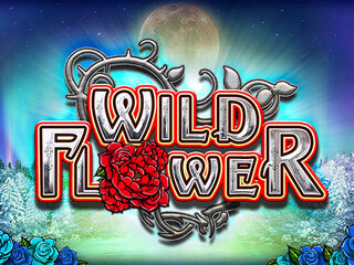 Wild Flower auf blauem Hintergrund