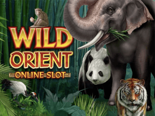 Verschiedene Tiere verstecken sich im Dschungel vom Wild Orient Slot
