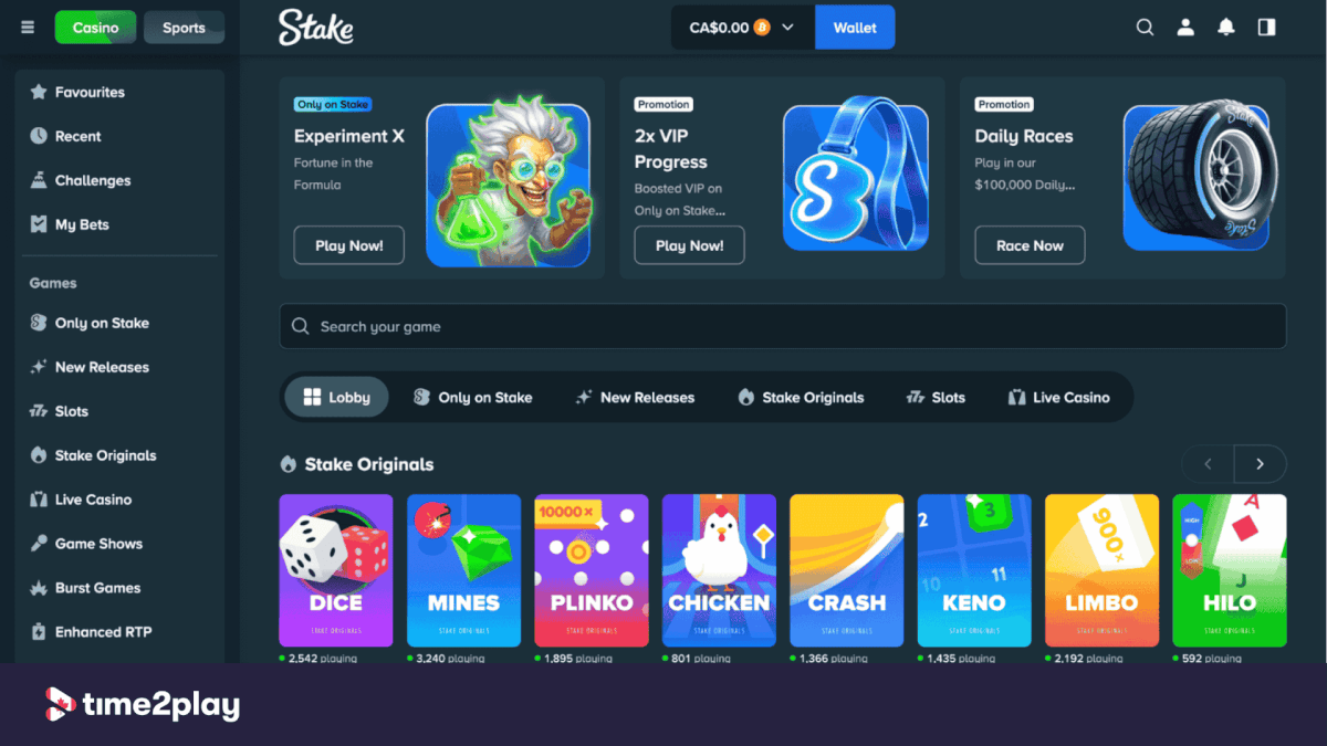 Stake Casino usability