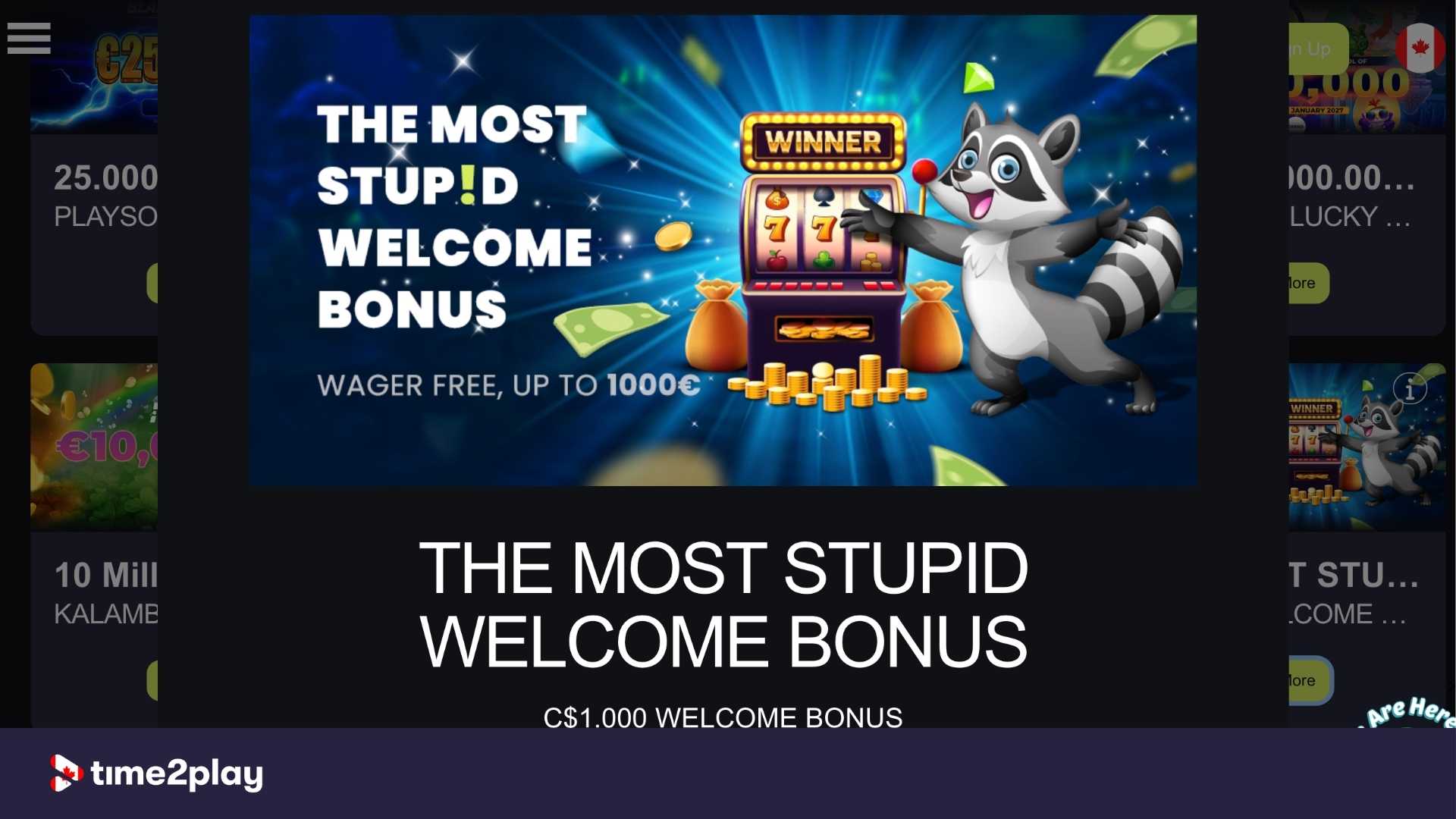 Stupid Casino welcome bonus offer
